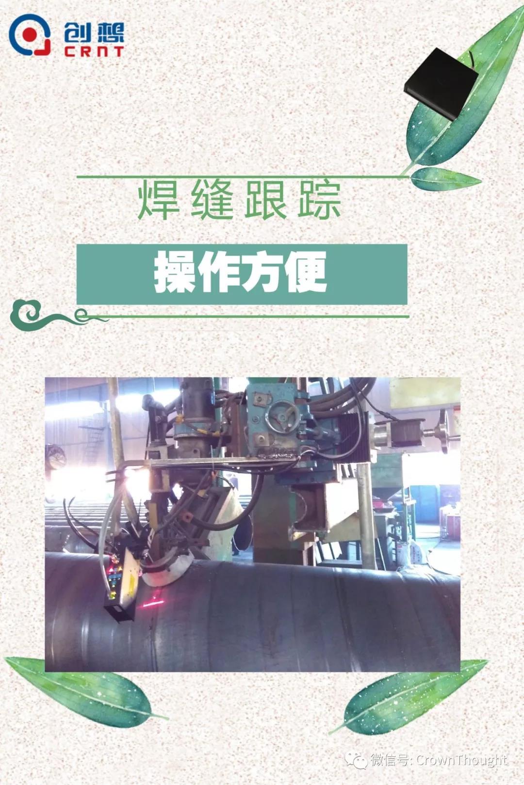 粽葉帶來的不僅僅是粽子，還有...